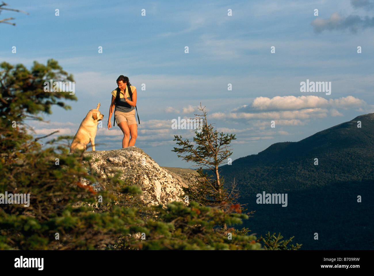 Una donna e un cane in cima a una montagna, Newry, Maine. Foto Stock