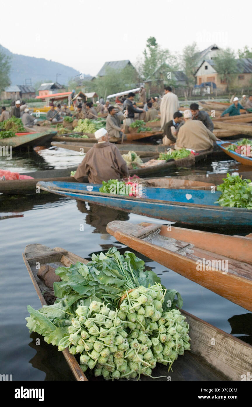 Gruppo di persone che vendono la verdura in barche, dal lago, Srinagar, Jammu e Kashmir India Foto Stock