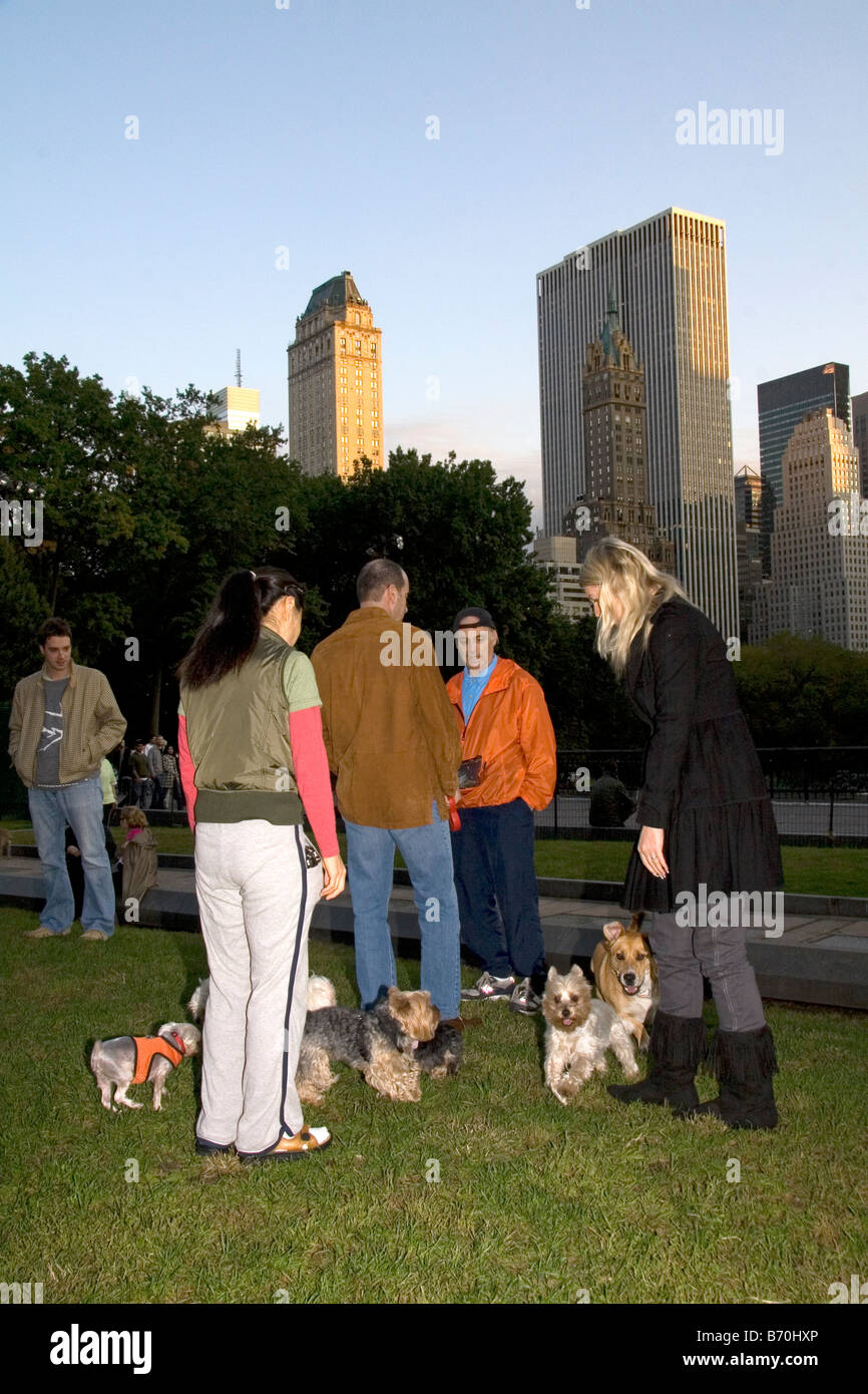 I proprietari di cani socializzare in Central Park Manhattan New York City New York STATI UNITI D'AMERICA Foto Stock