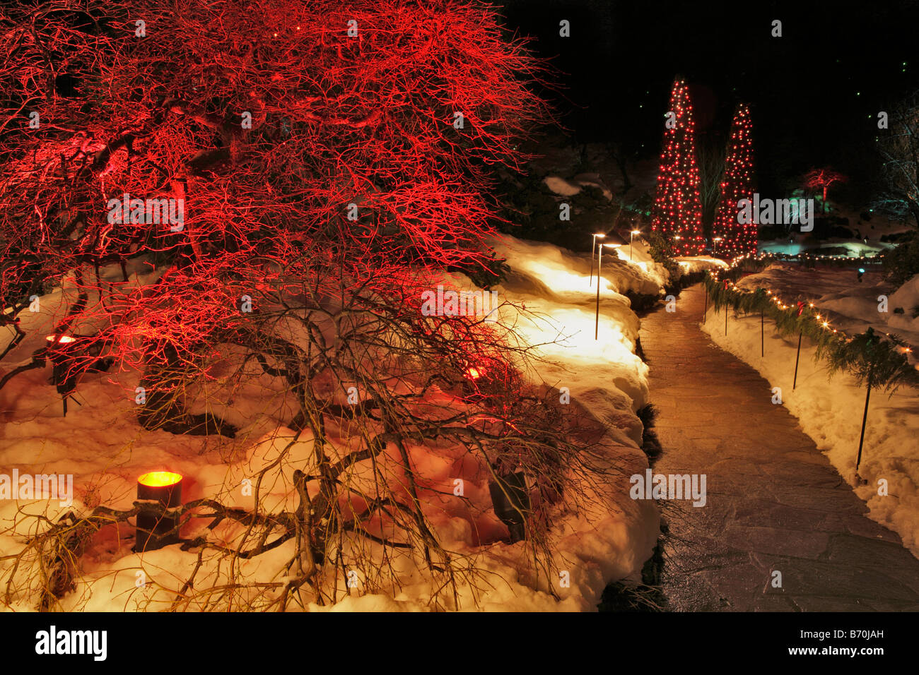 Giardino sommerso con le luci di Natale di notte ai Giardini Butchart Victoria British Columbia Canada Foto Stock