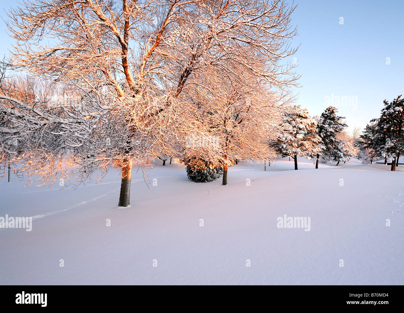 La mattina di Natale in Bell Park, Sudbury, Ontario, Canada, era perfetta. Freddo e soleggiato con una leggera nevicata fresca Foto Stock