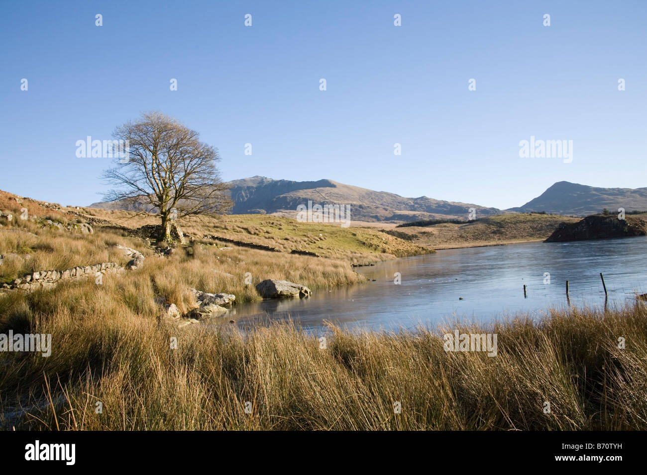 Rhyd Ddu Gwynedd Galles del Nord gennaio guardando attraverso il lago ghiacciato Llyn y Dywarchen verso Snowdon Foto Stock