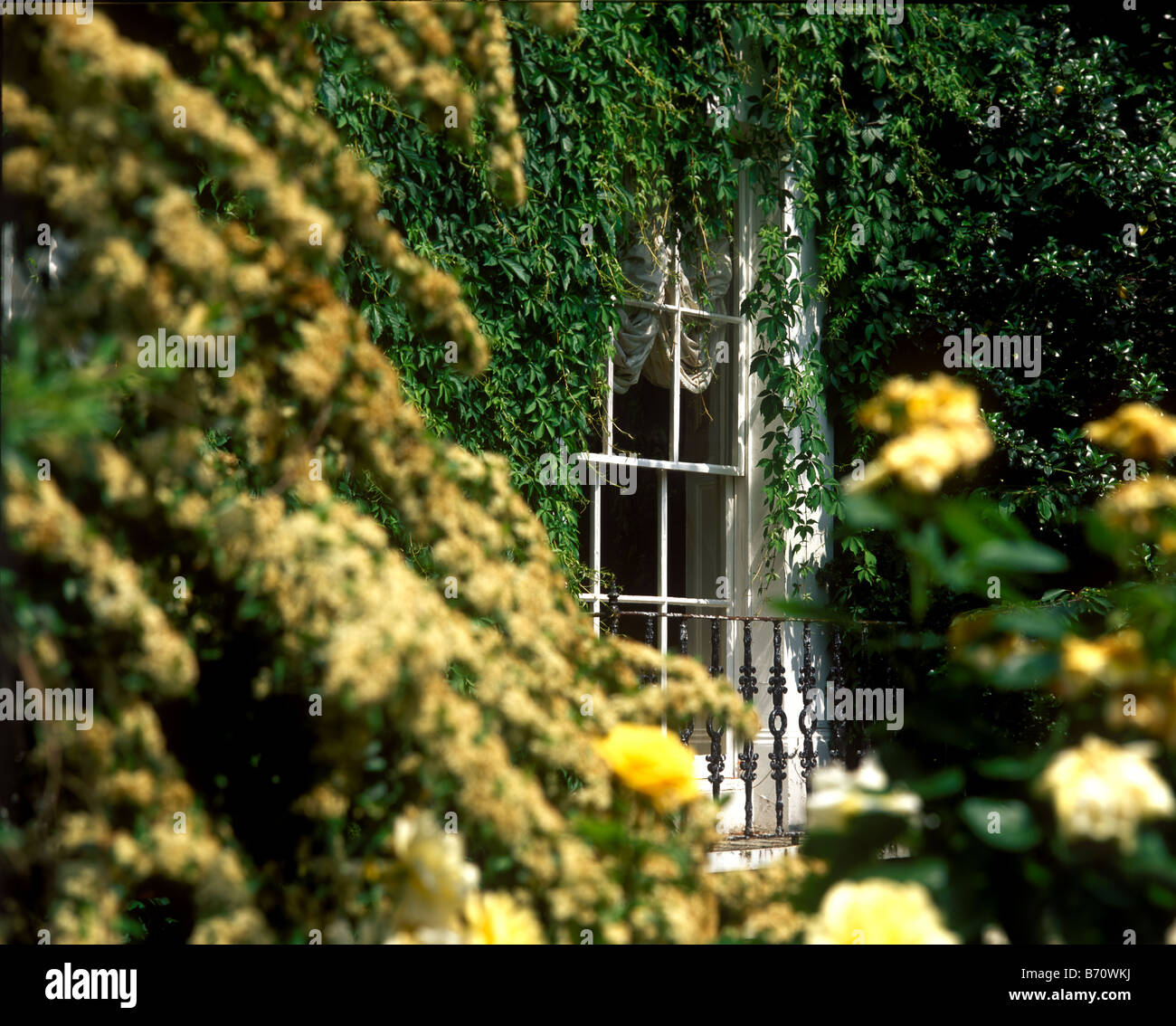 Dettaglio della grande Londra Albergo con piante che crescono oltre il giardino frontale per coprire la casa e dare un senso di privacy Foto Stock