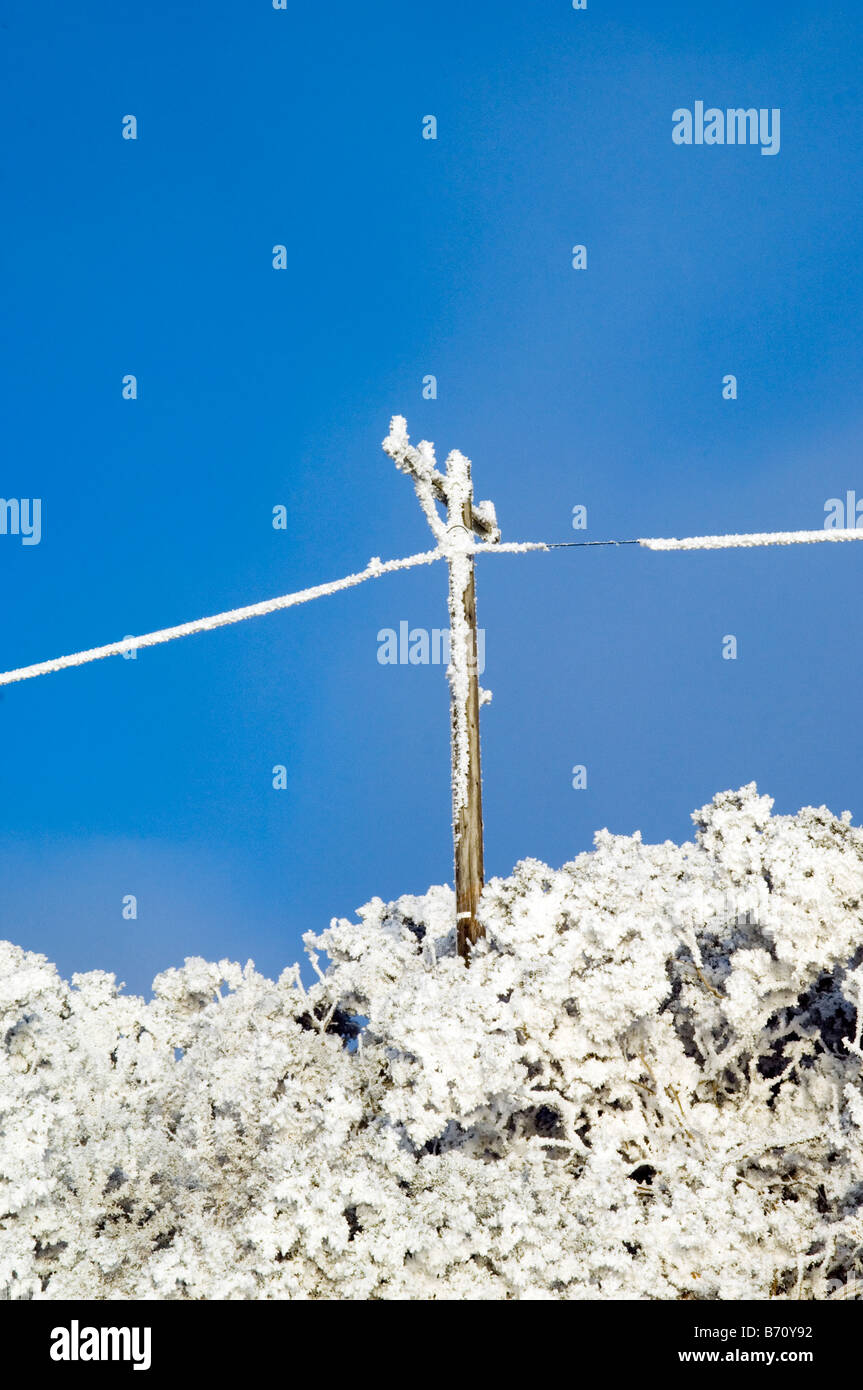 Cavo di alimentazione e polo di alimentazione congelati contro il cielo blu Foto Stock