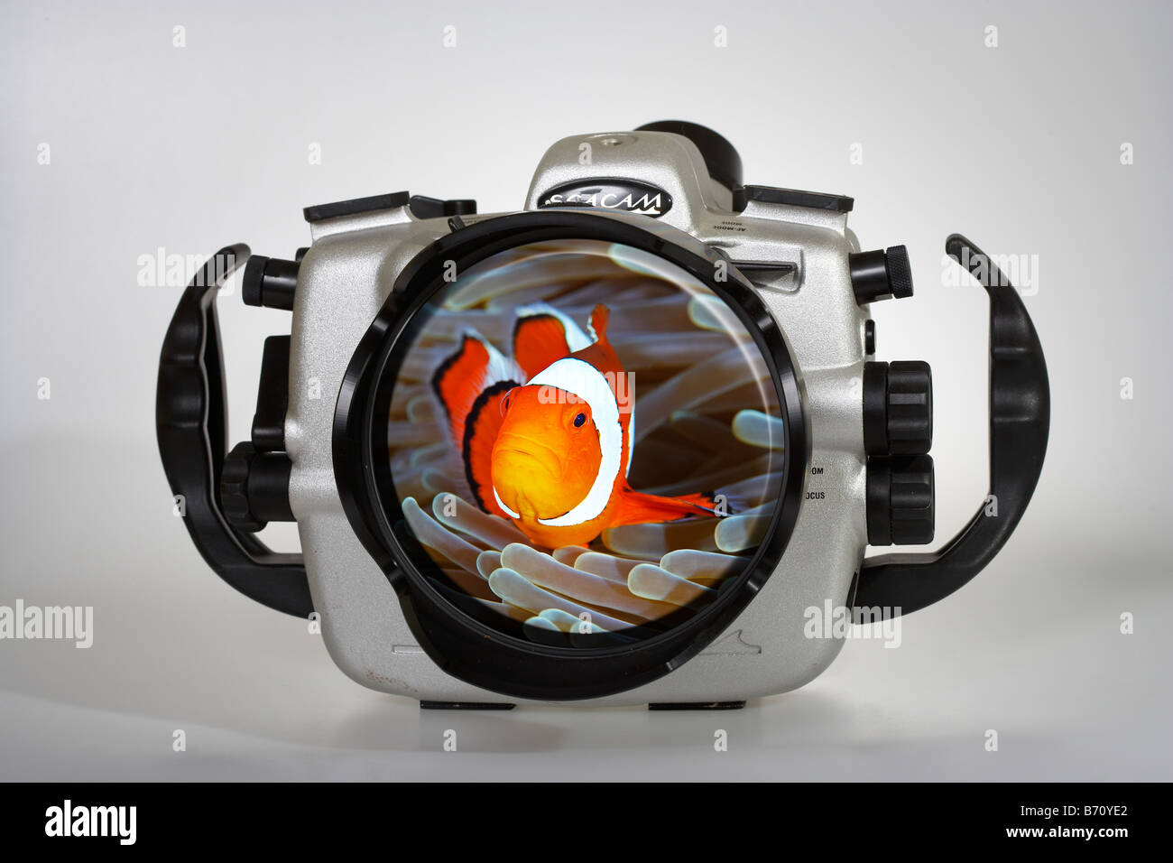 Fotocamera Subacquea con Anemonefish sovrapposta sulla porta Foto Stock