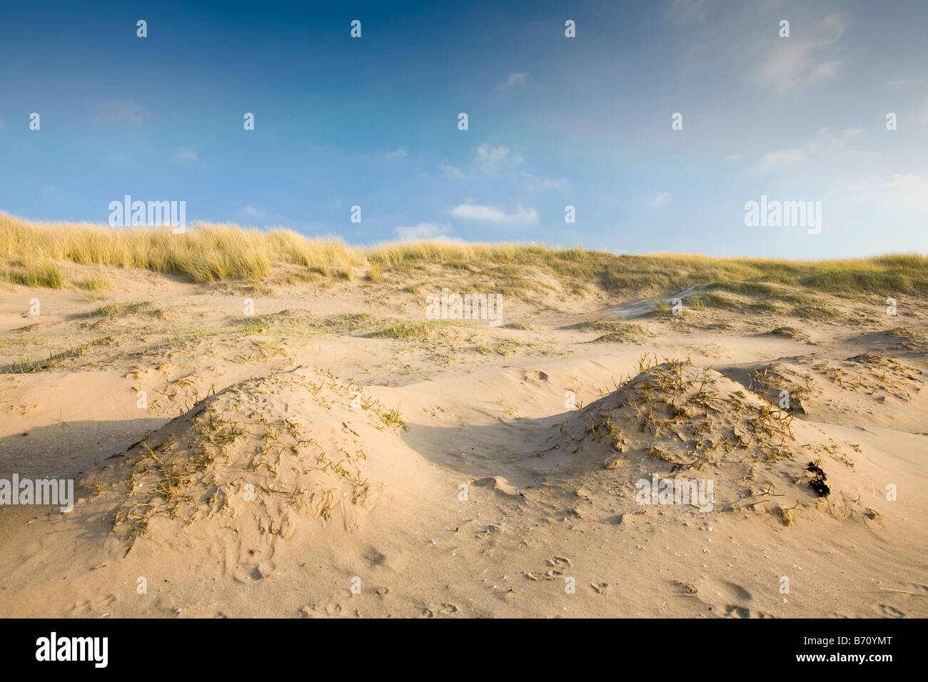 Il ghiaccio e la brina sulla spiaggia e le dune di sabbia a Sandscale Haws vicino a Barrow in Furness Cumbria Regno Unito Foto Stock