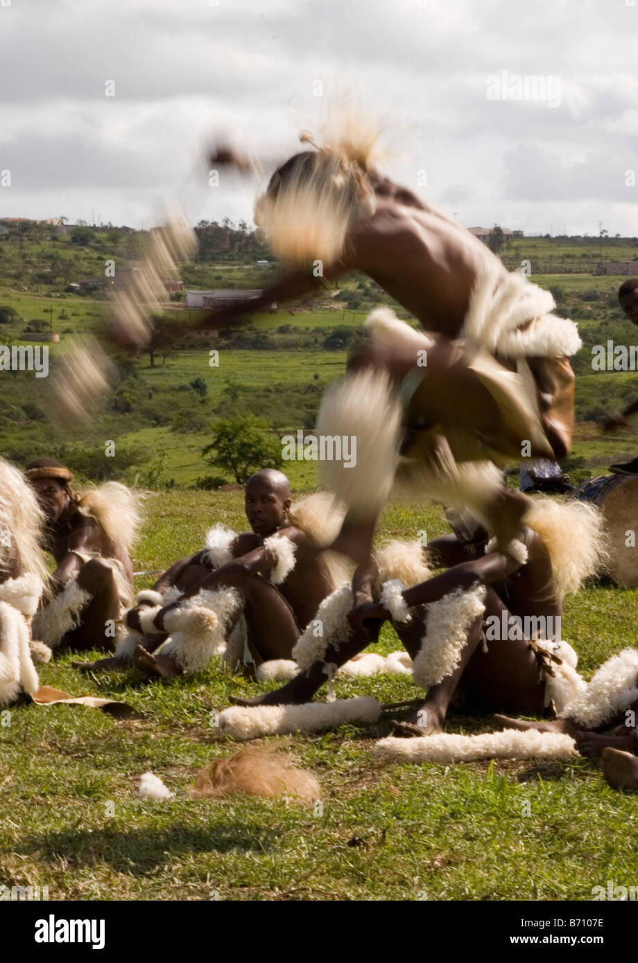 Un Guerriero Zulu lancia in aria come parte della sua routine a un concorso di danza nella provincia di KwaZulu-Natal provincia in Sud Africa. Foto Stock