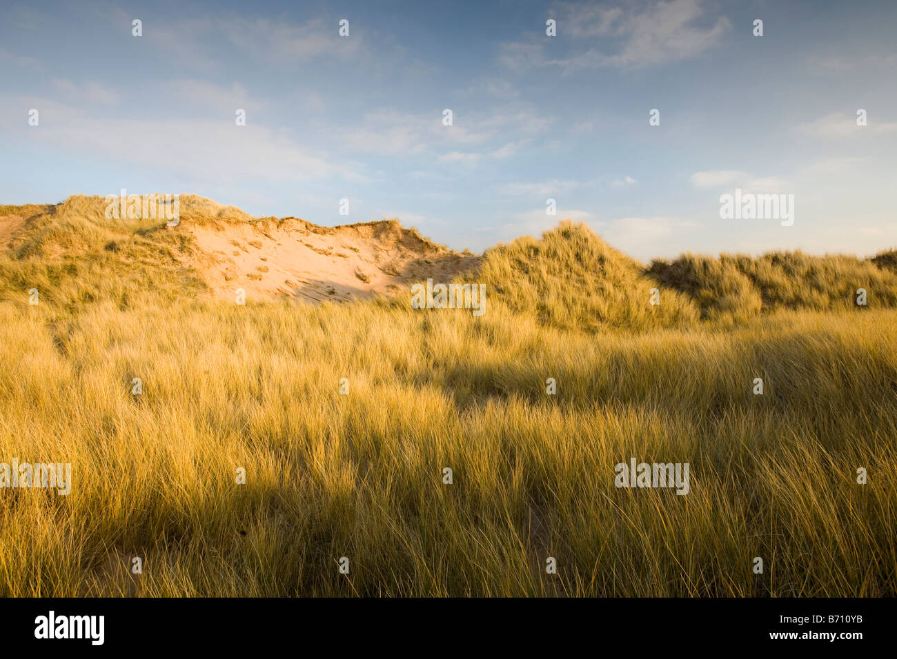 Il ghiaccio e la brina sulla spiaggia e le dune di sabbia a Sandscale Haws vicino a Barrow in Furness Cumbria Regno Unito Foto Stock