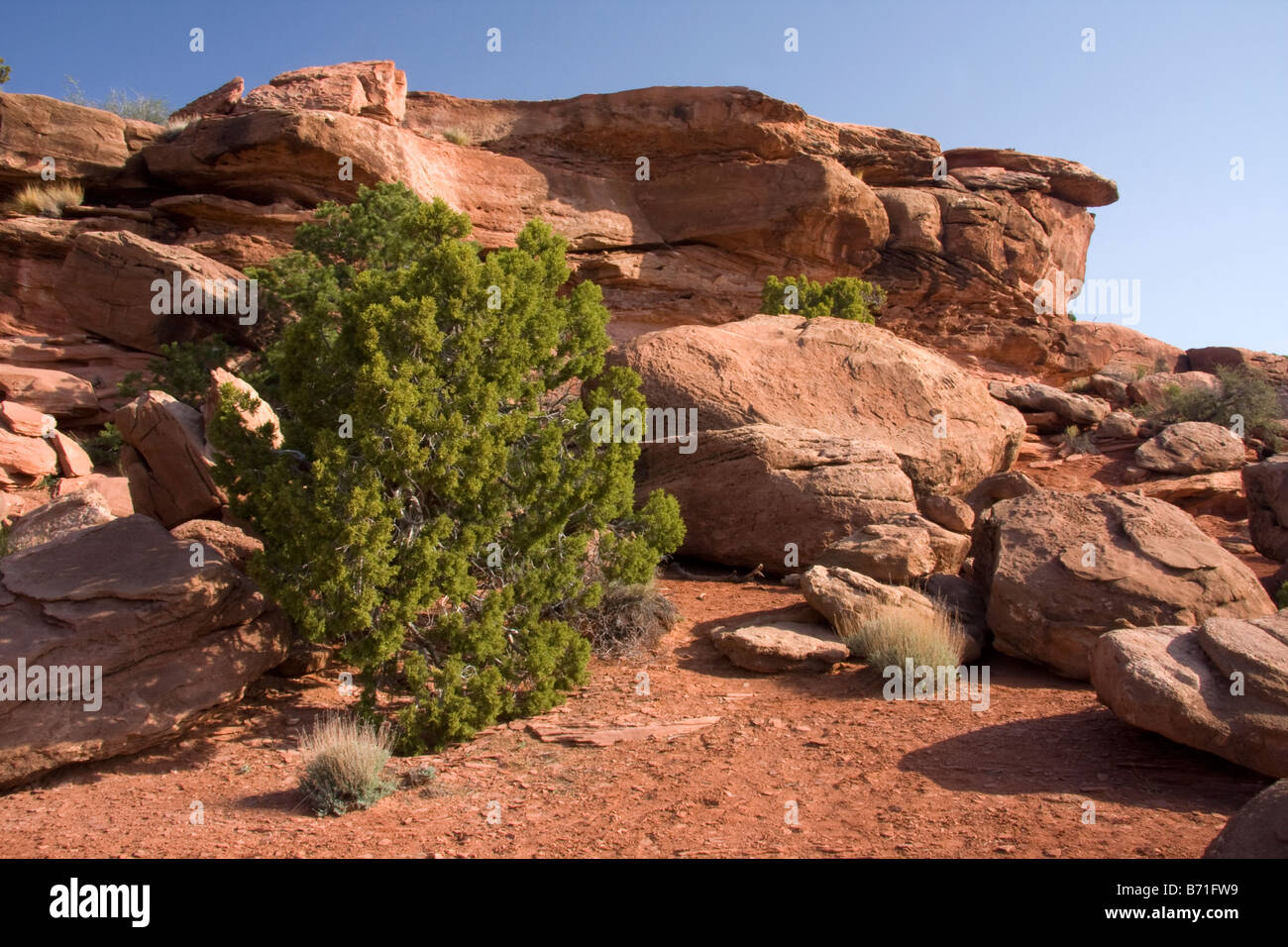 Grand View Point nell'isola nel cielo del distretto di Canyonlands National Park nello Utah Foto Stock