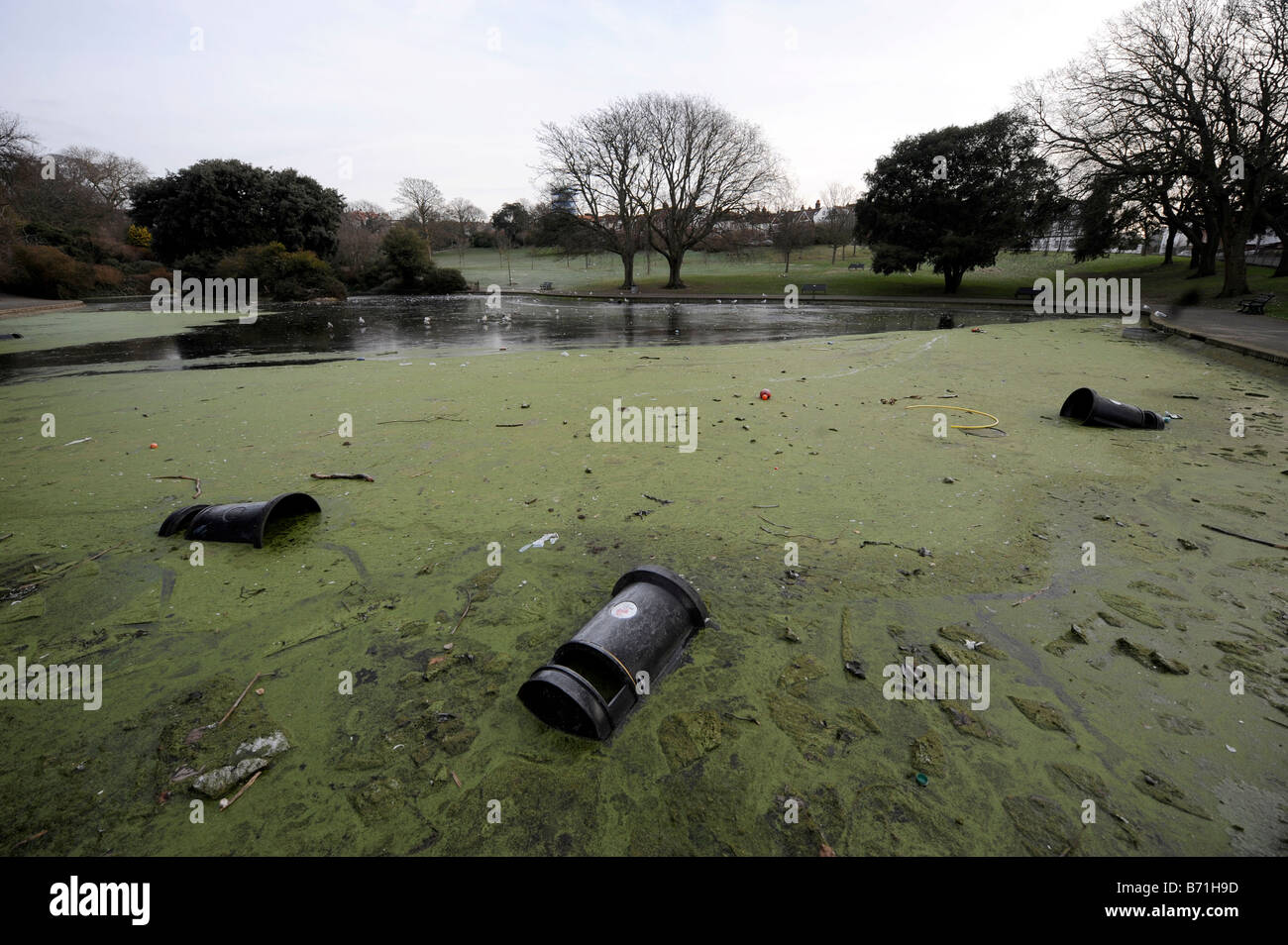 I cestini gettati nel Queens Park Pond Brighton dai vandali sono rimasti intrappolati nel ghiaccio Foto Stock