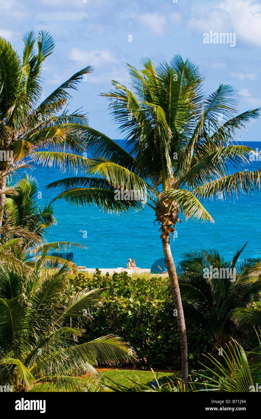 Palm Beach Shores , Vista del profondo blu del mare e la spiaggia con sabbia e due giovani bionde a prendere il sole , preso dal attraverso giardini di palme Foto Stock