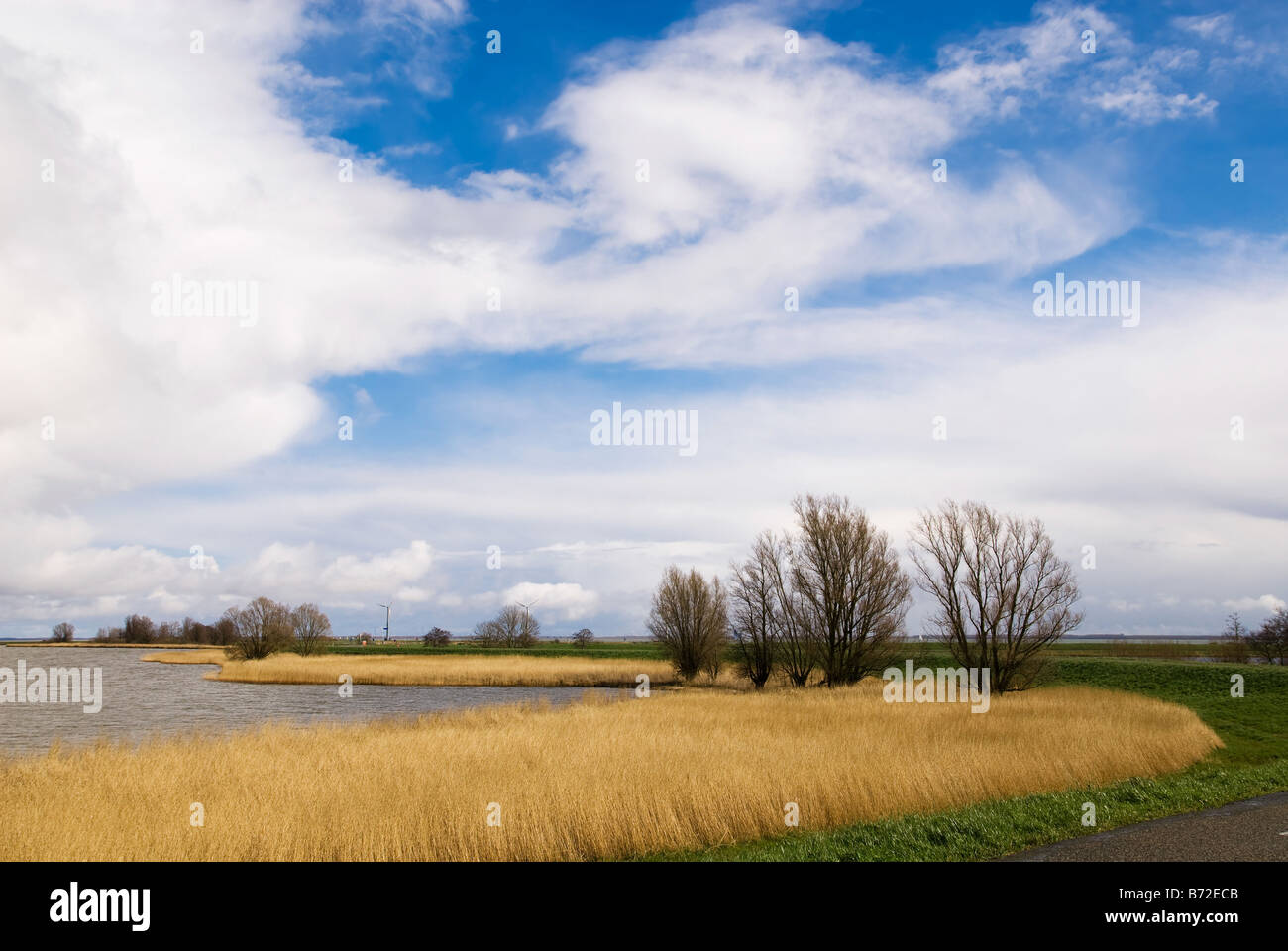 Splendido paesaggio olandese IJsselmeer Olanda vicino a Marken Foto Stock