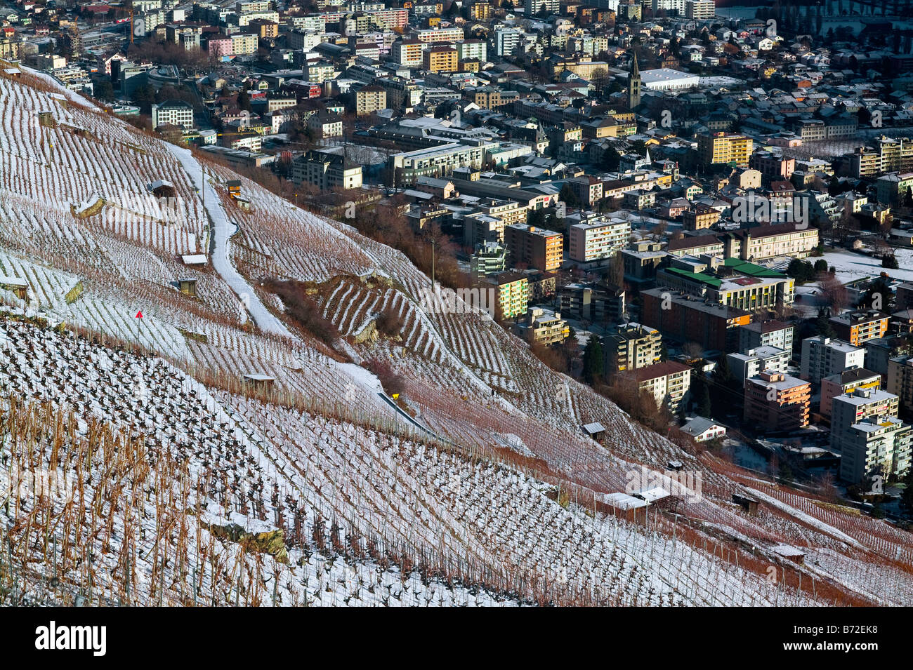 Vigneti sopra MARTIGNY nella Valle del Rodano Vallese Svizzera Foto Stock