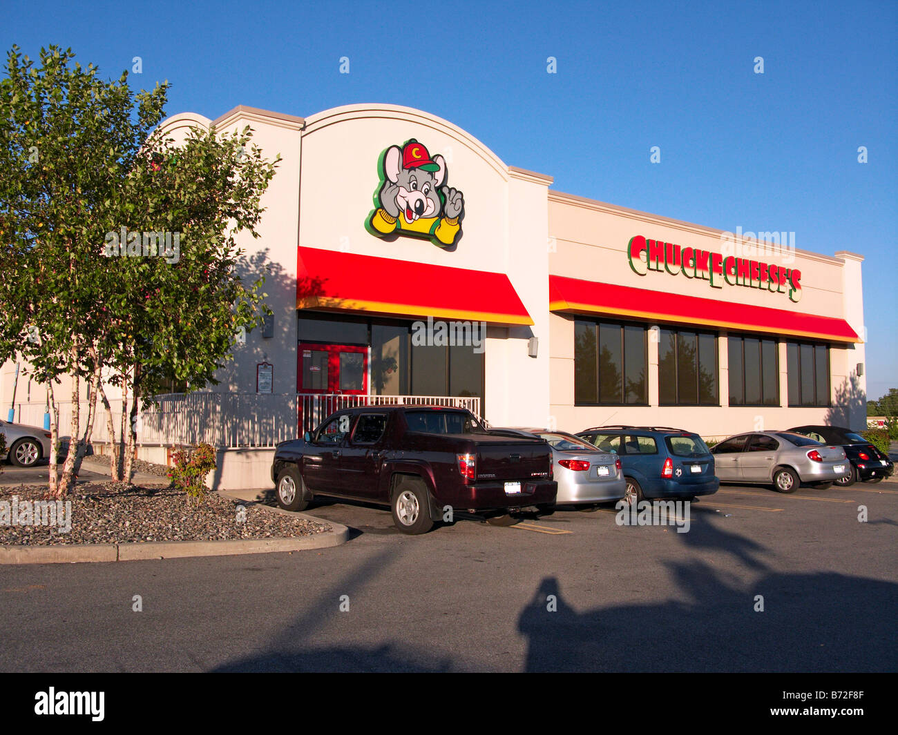 Chuck e formaggio Foto Stock