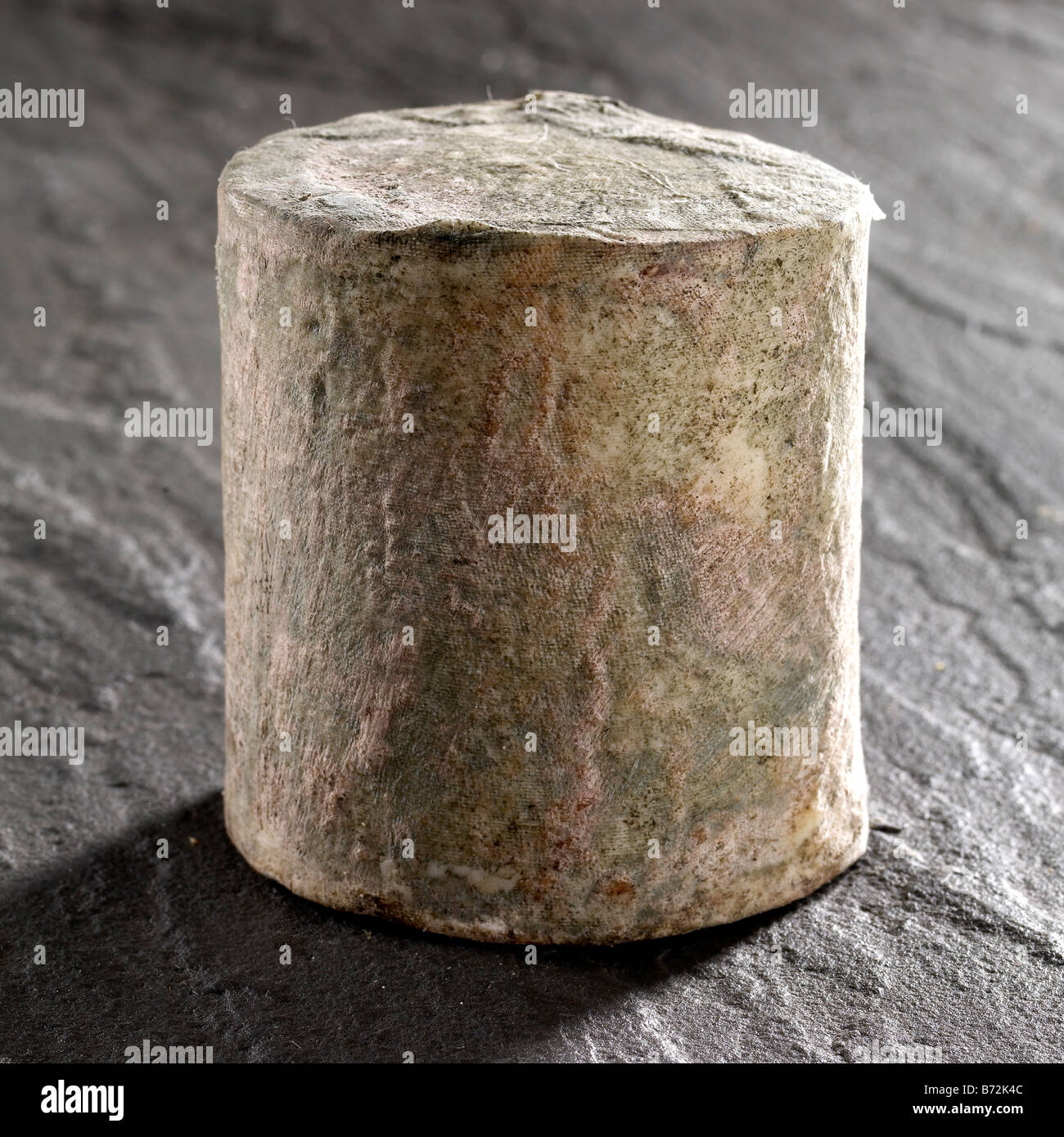 Tradizionale di formaggio cheddar in forme intere su lavagna Foto Stock