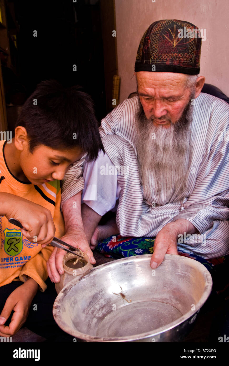 Medico tradizionale acquisto di scorpioni per utilizzarli come medicina Kashgar nello Xinjiang Cina Foto Stock