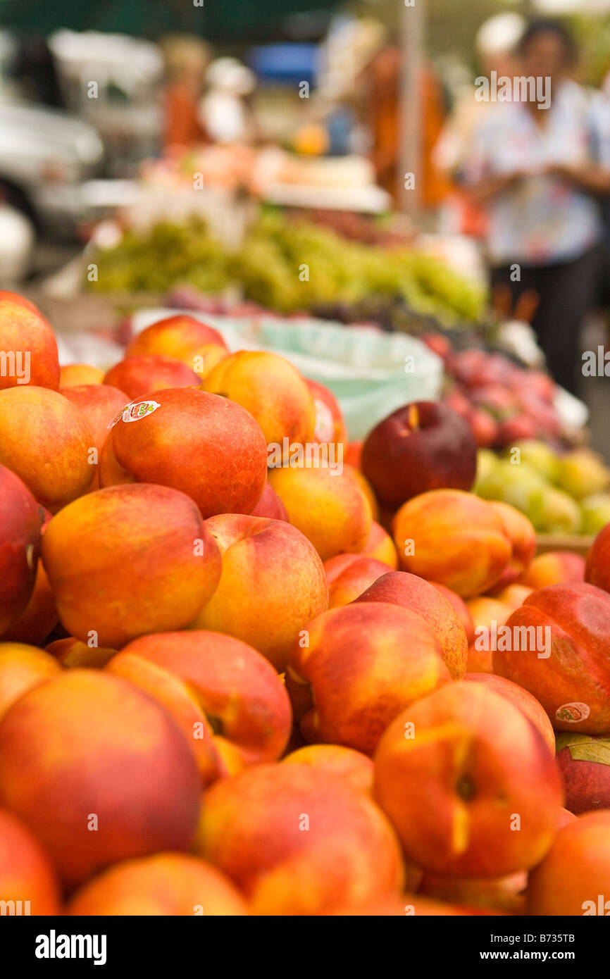 Le nettarine Farmers Market di Santa Barbara in California negli Stati Uniti d'America Foto Stock