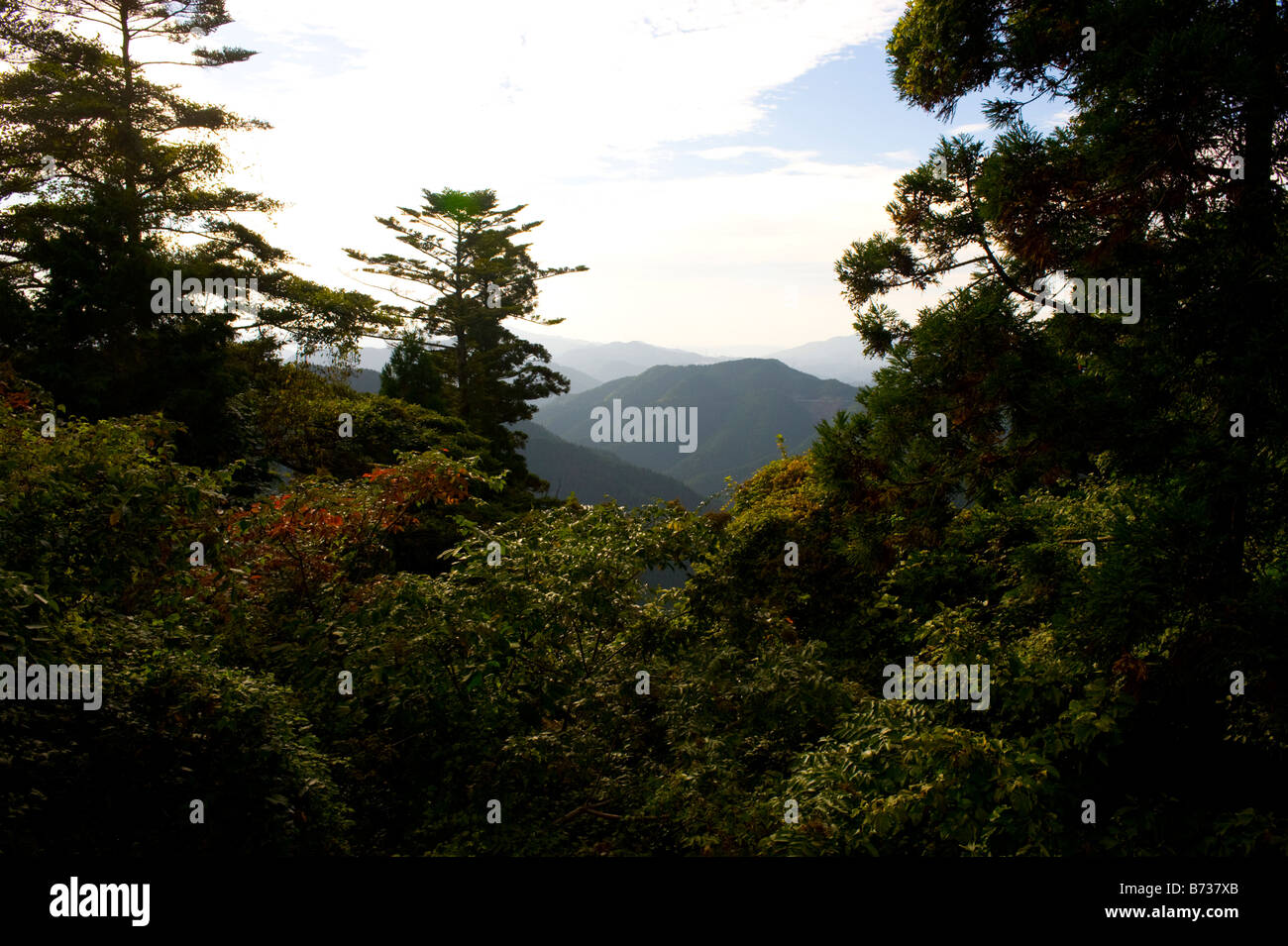 La vista dal Monte Koya in Koyasan, Wakayama, Giappone. Foto Stock