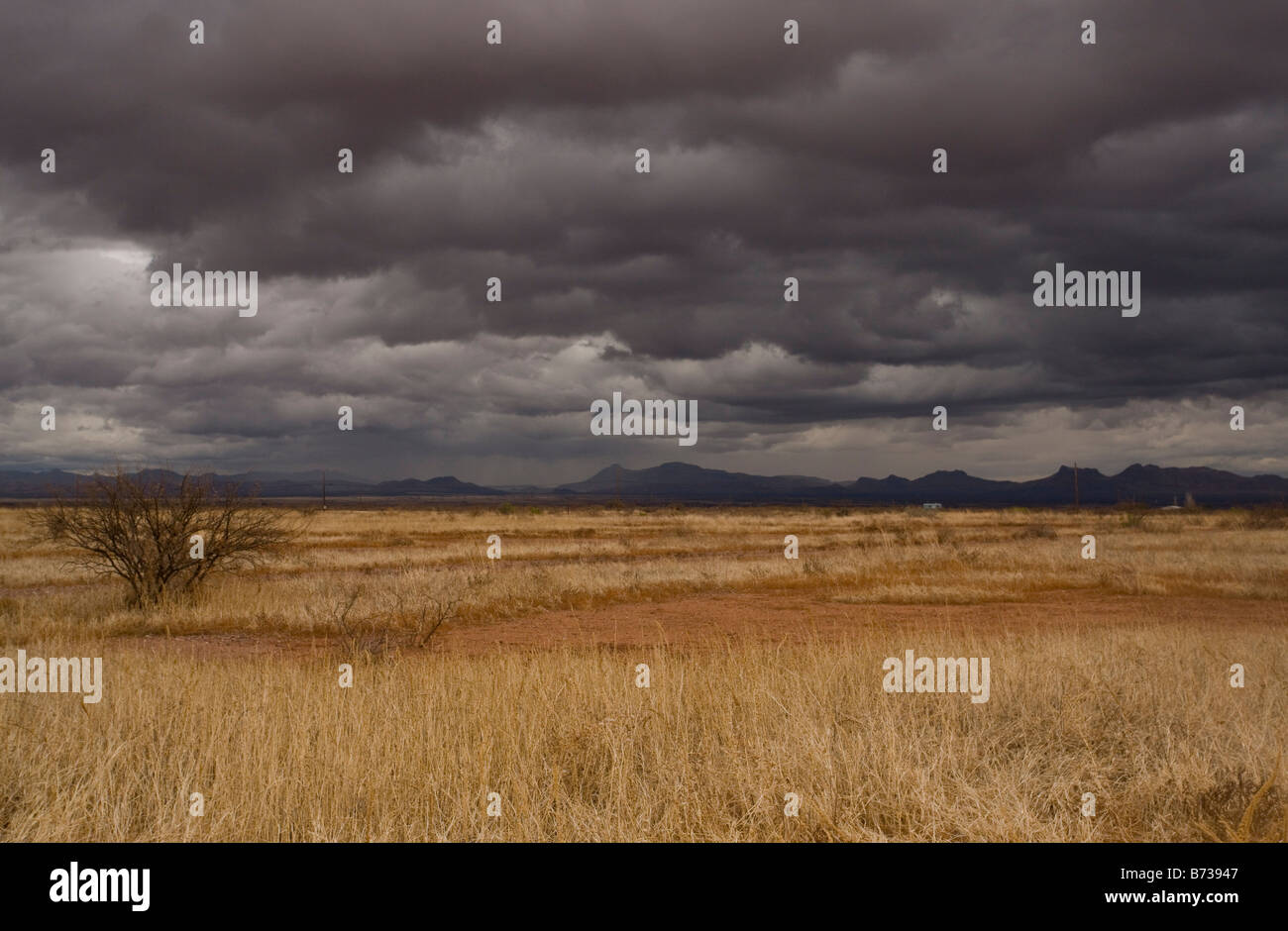 Prati e montagne vicino Douglas in Arizona Messico confine su una burrascosa serata invernale Foto Stock