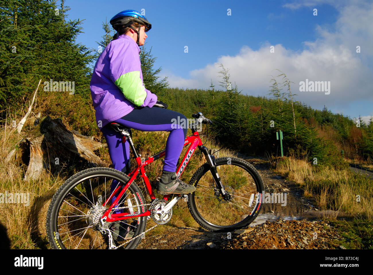 Mountain Bike Dyfi Forest il Galles Centrale Foto Stock