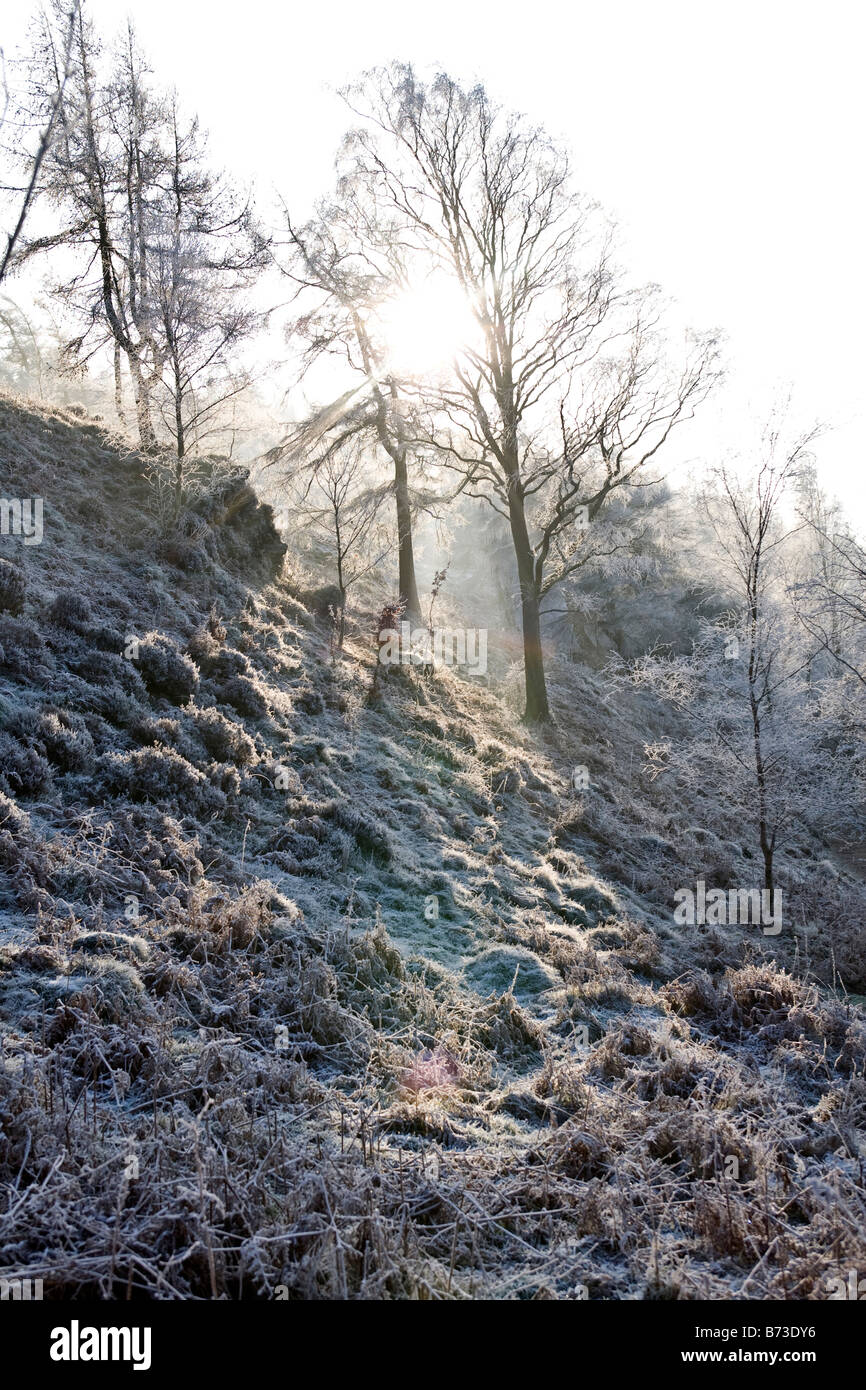 Scena invernale nel Lake District inglese, REGNO UNITO Foto Stock