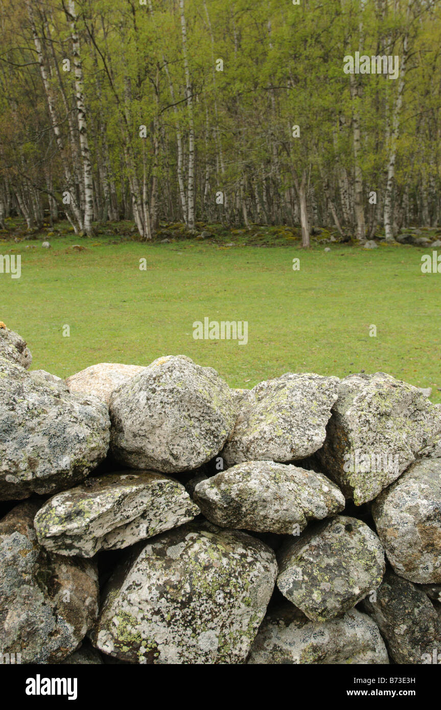 Muri Di Recinzione Pietra.Pietra Muri Di Recinzione In Pascolo Dei Prati Pirenei Francia Foto Stock Alamy