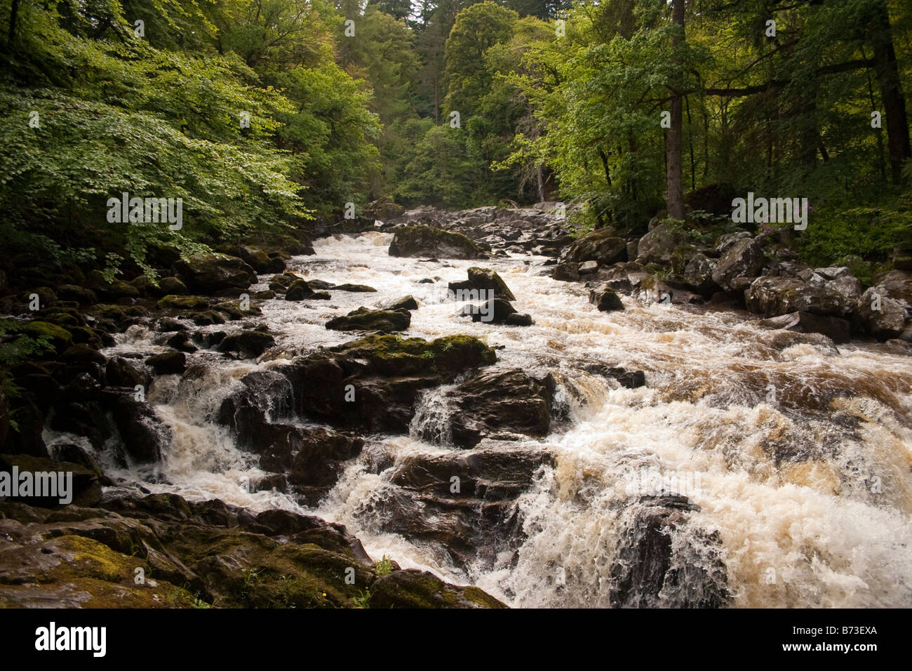 Il nero Linn cascata vicino a Dunkeld, Scozia Foto Stock