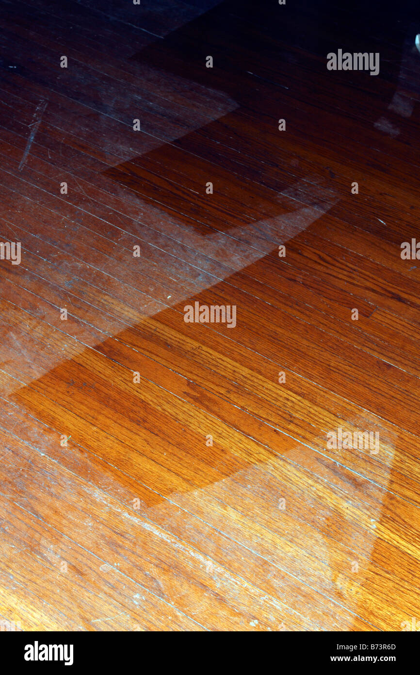 Puliti e polverosi parquet in legno di quercia. Foto Stock