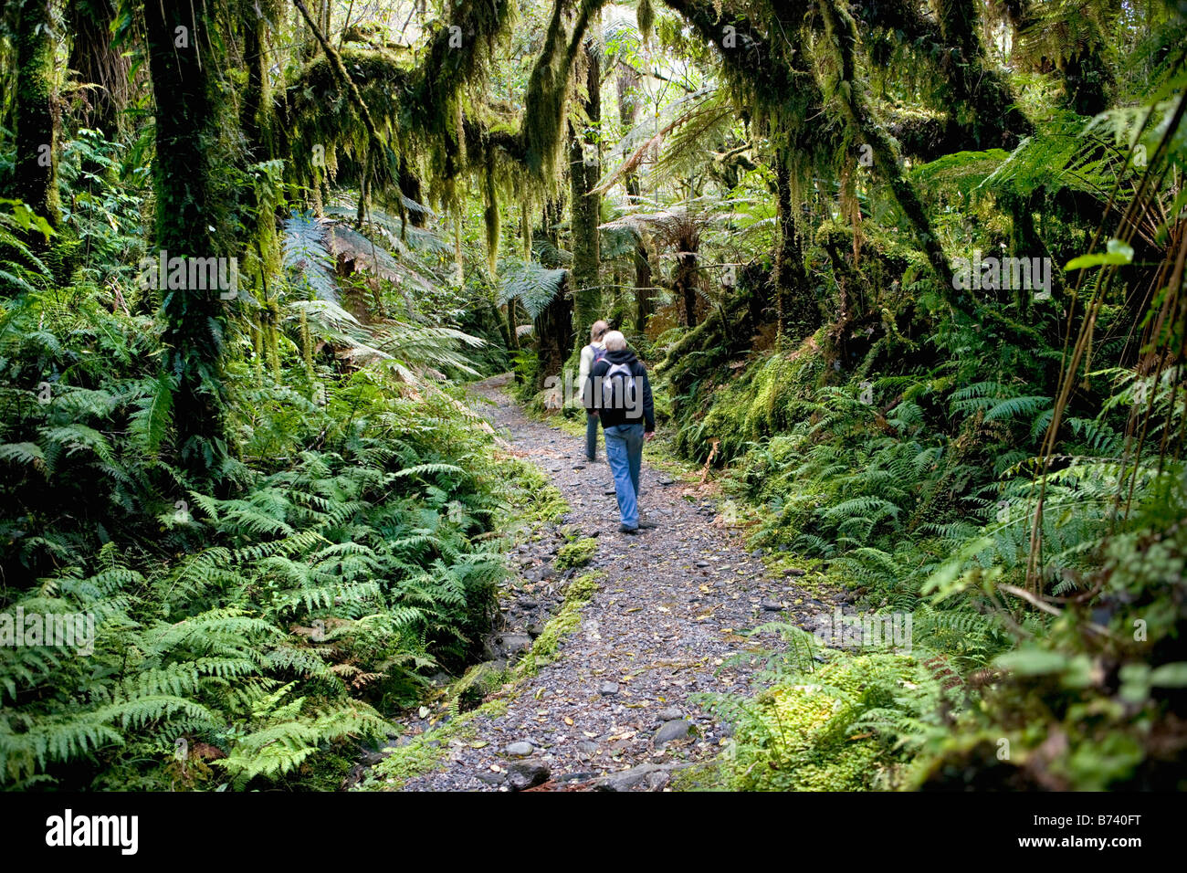 Nuova Zelanda, Isola del Sud, Fox Glacier, Chalet lookout via. Paio di escursionismo. Foto Stock