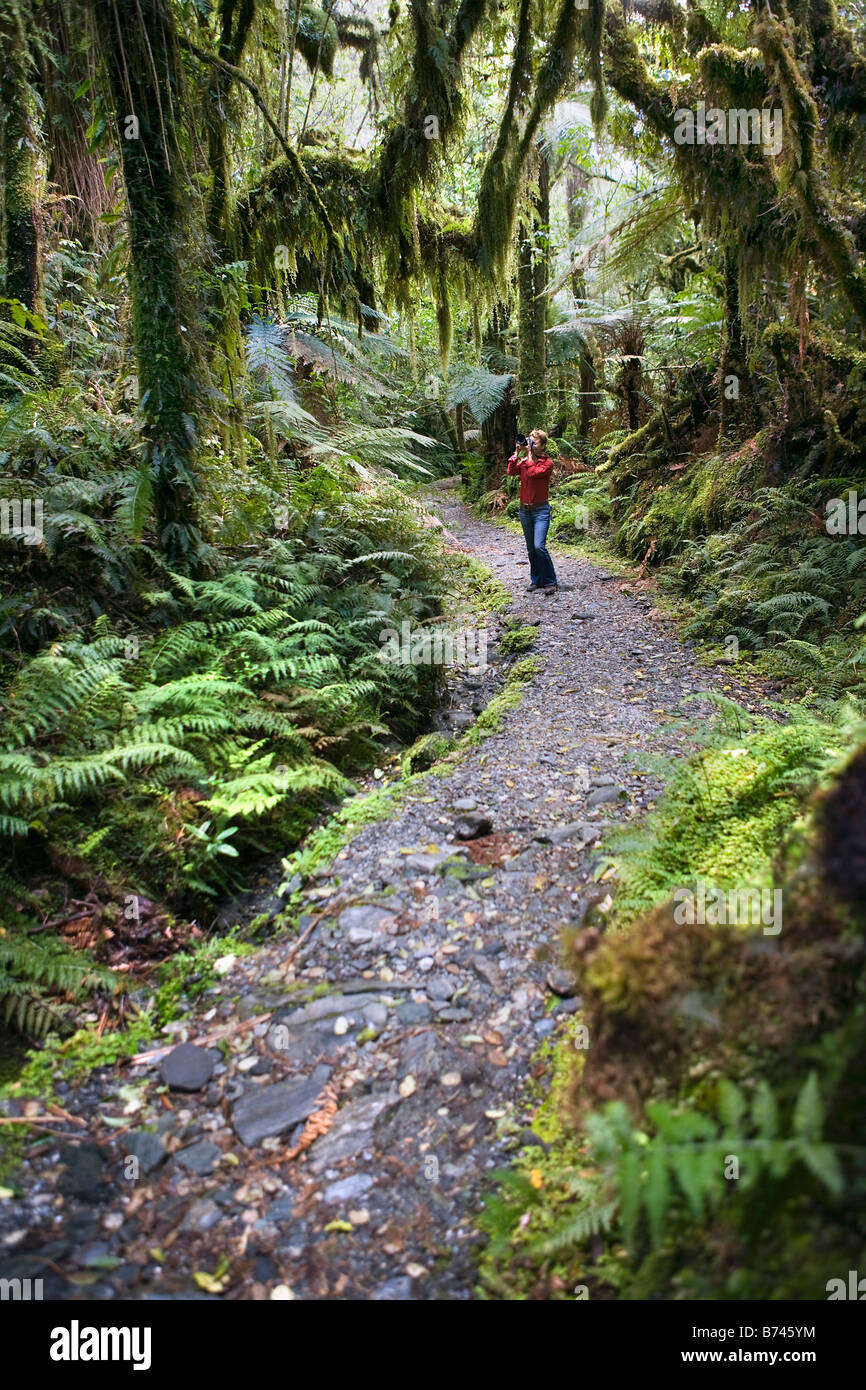 Nuova Zelanda, Isola del Sud, Fox Glacier, Chalet lookout via. Donna di scattare la foto. La foresta pluviale. Foto Stock