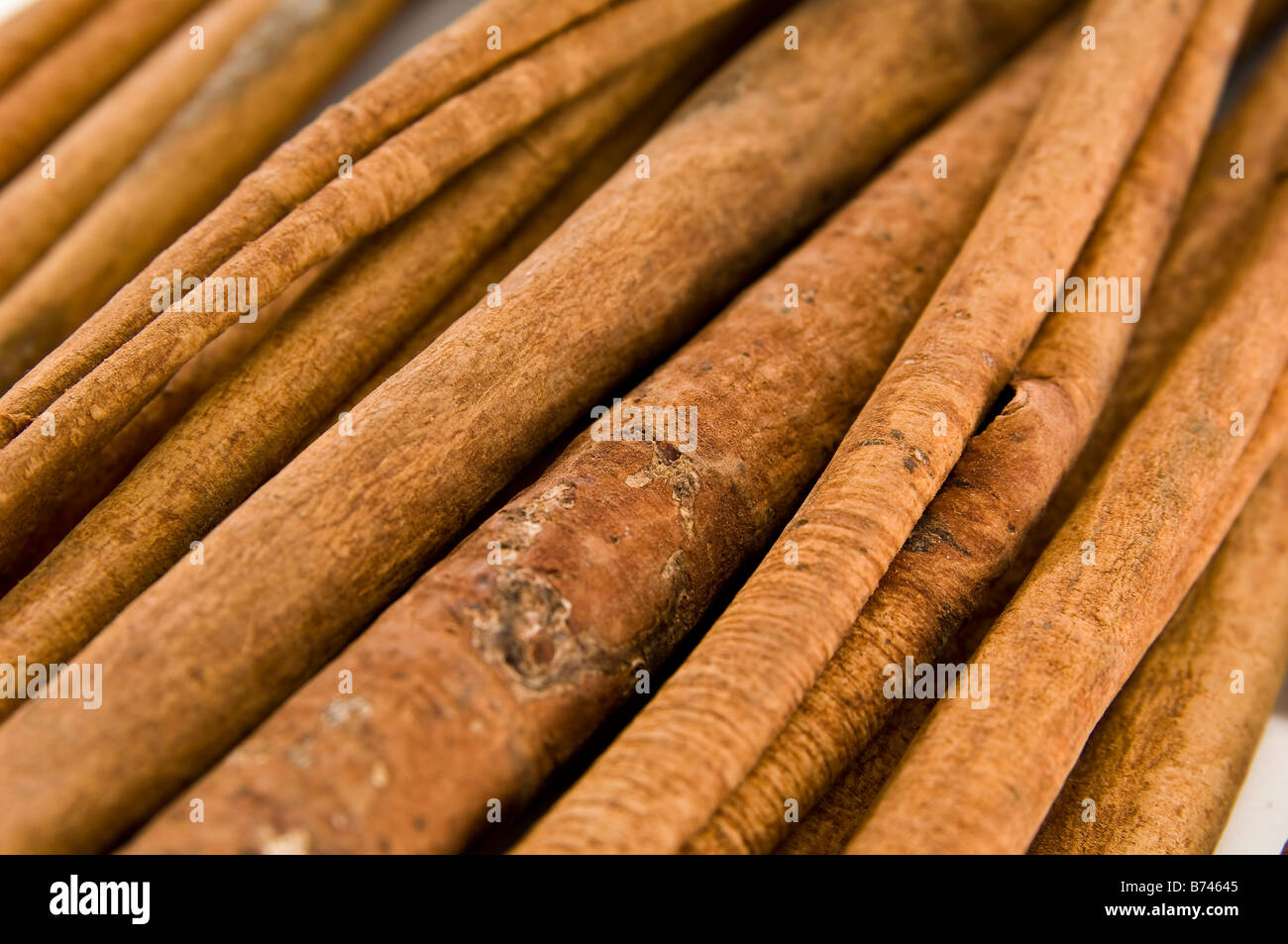 Extra lunghi bastoncini di cannella. A differenza dei bastoni economici si ottiene, questi sono molto più lunghi e più naturale. Foto Stock