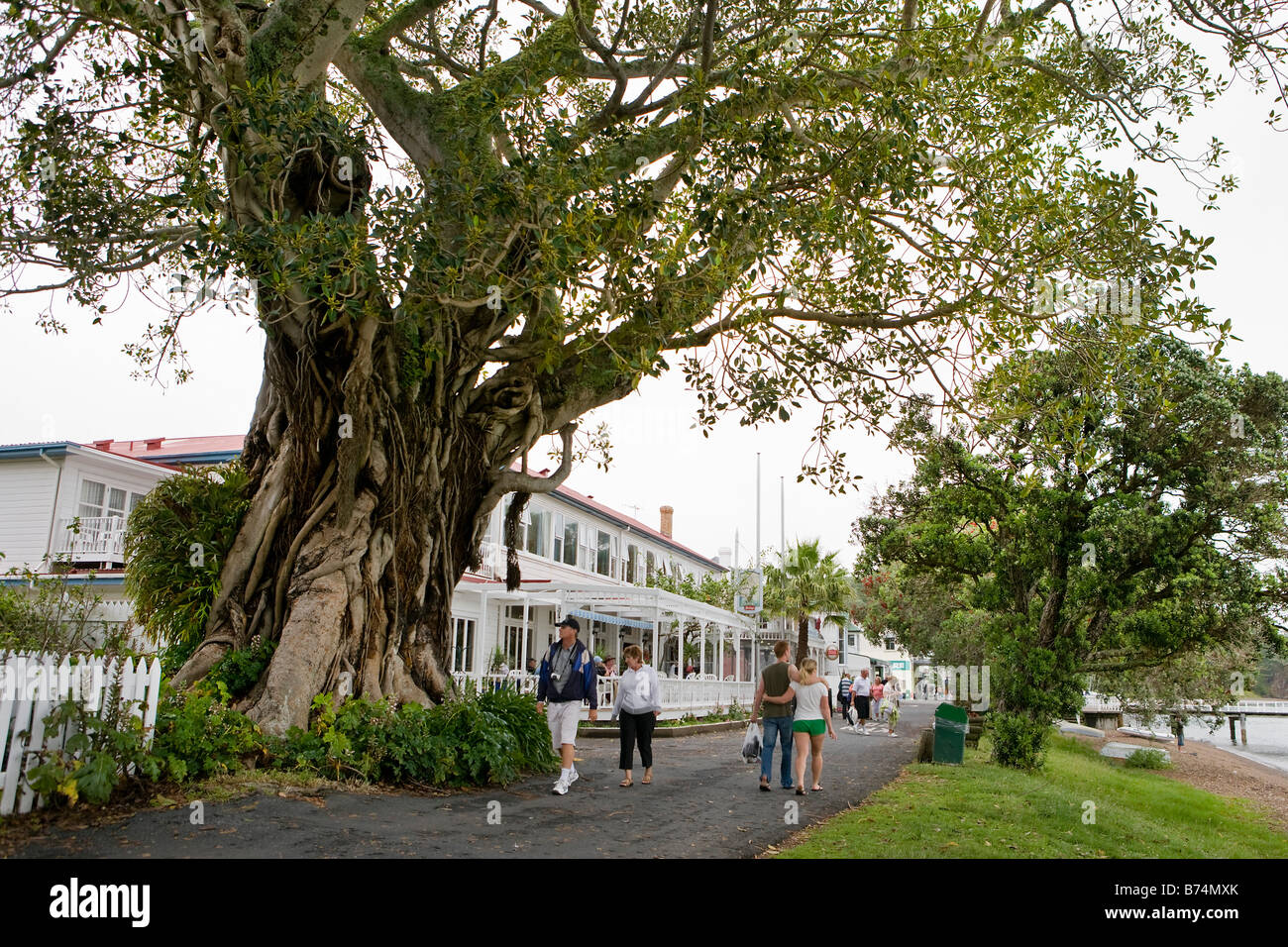 Nuova Zelanda, Isola del nord, Paihia, Bay of Islands, Russell, porto e Ferry Terminal. Foto Stock