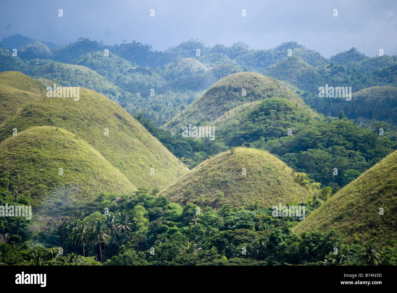 Il Chocolate Hills geologico nazionale monumento, Carmen, Bohol, Visayas, Filippine Foto Stock