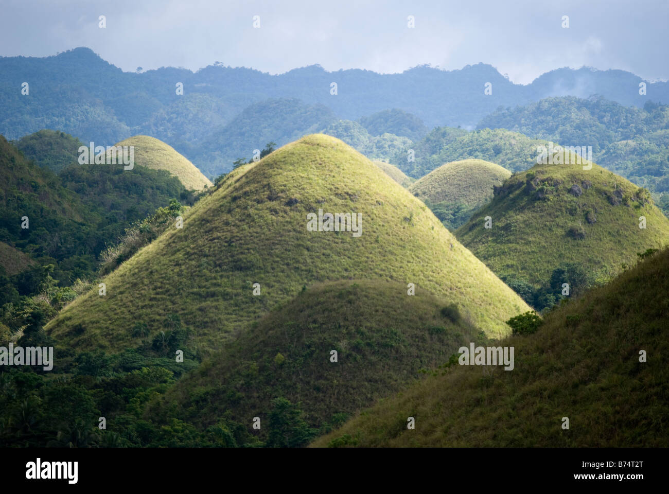 Il Chocolate Hills geologico nazionale monumento, Carmen, Bohol, Visayas, Filippine Foto Stock