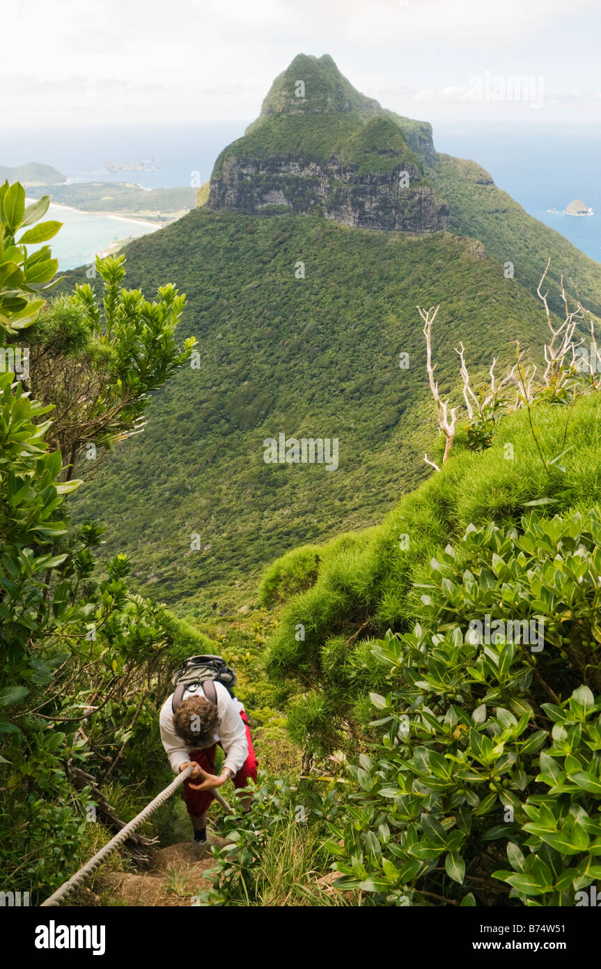 Alpinismo Monte Gower Isola di Lord Howe NSW Australia Foto Stock