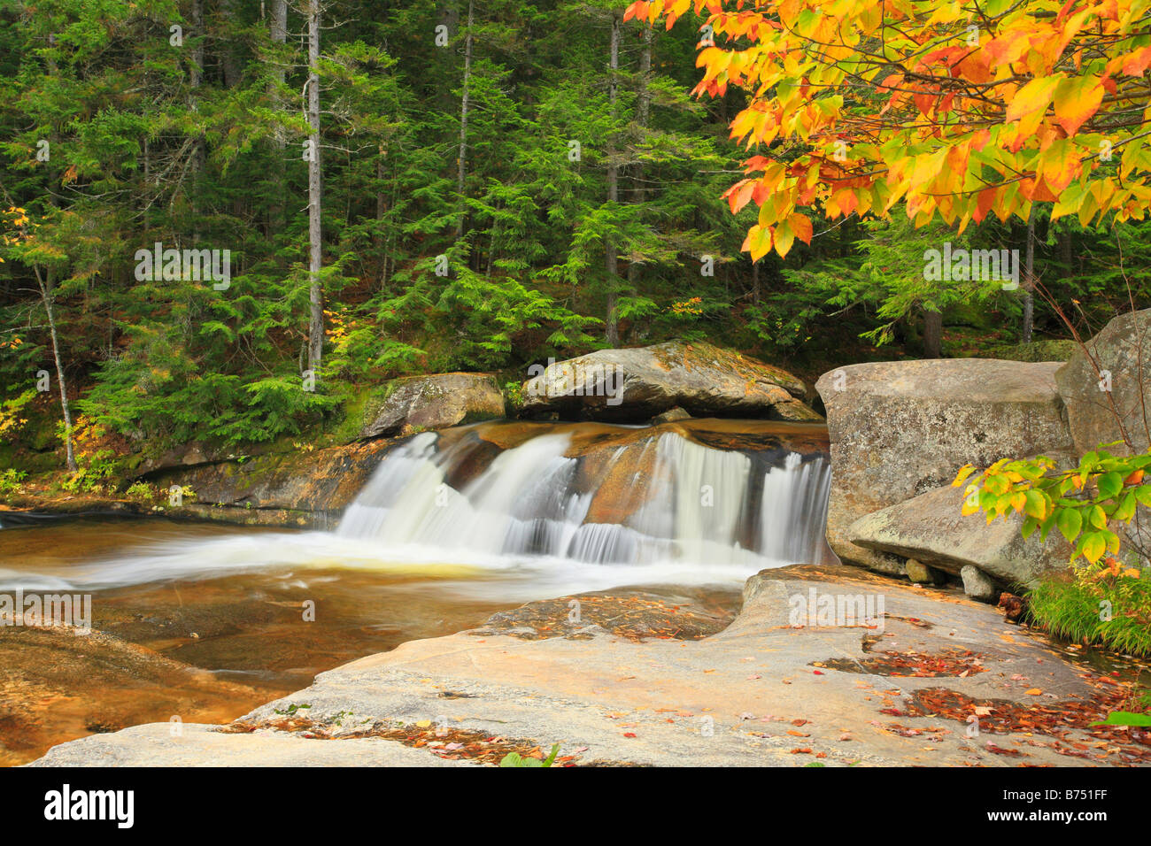 Bear River, Grafton tacca del parco statale, Newry, White Mountains, Maine, Stati Uniti d'America Foto Stock