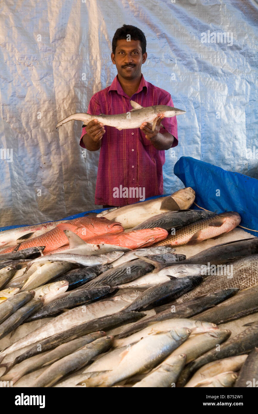 Un uomo vende pesce fresco da uno stallo in Fort Kochi in Kerala, India. Succulento pesce fresco può essere cucinato in ristoranti nelle vicinanze Foto Stock