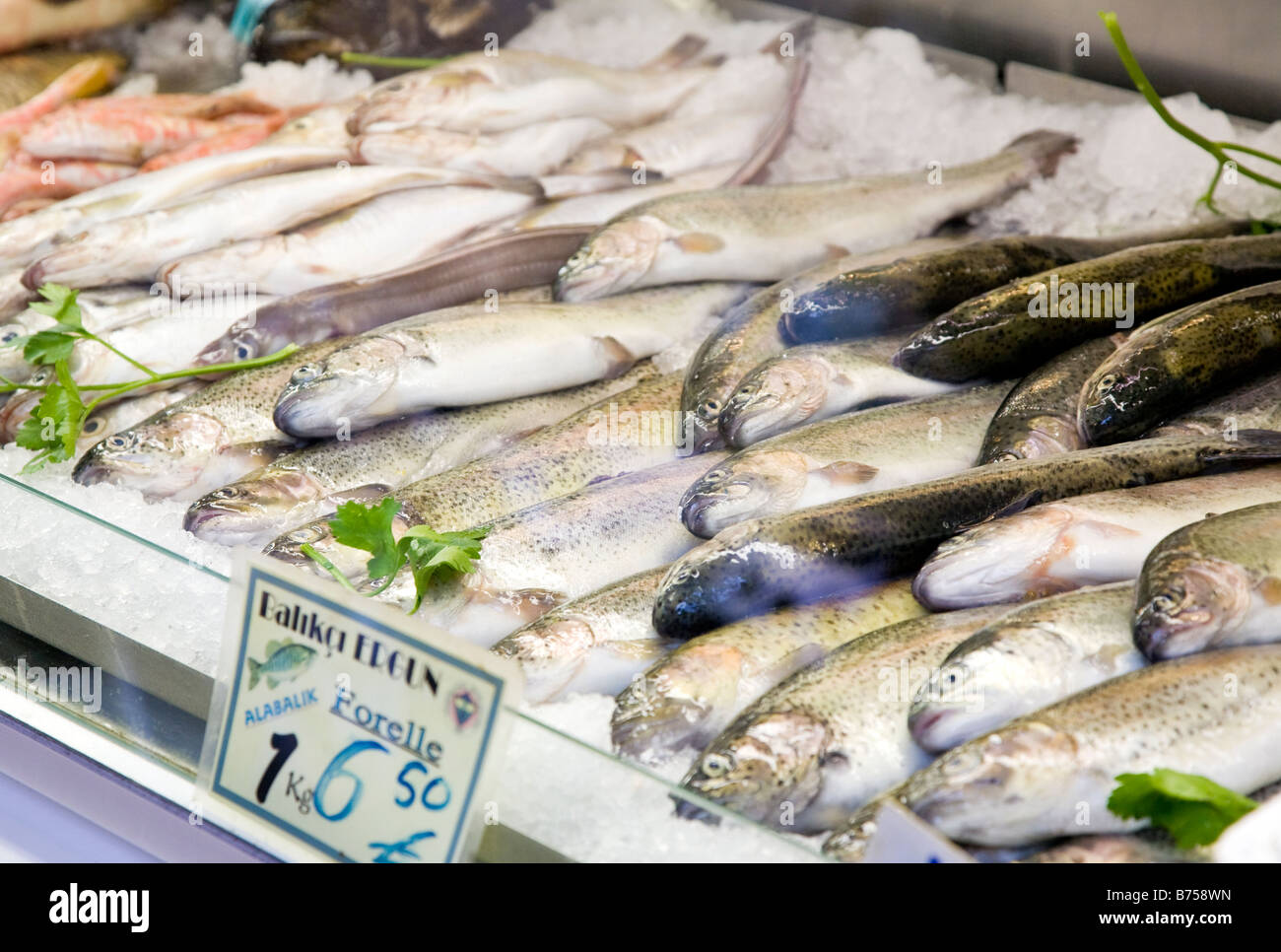 Pesce in un mercato in stallo Foto Stock