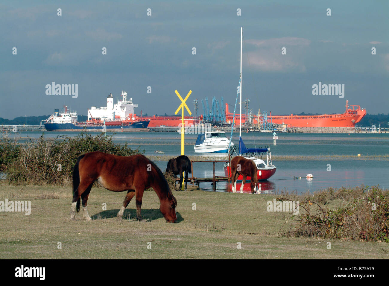 Petrolio greggio petroliera navetta 'Elisabeth Knutsen' a fianco di scarico a Fawley Terminale Marino, Southampton, Inghilterra Foto Stock