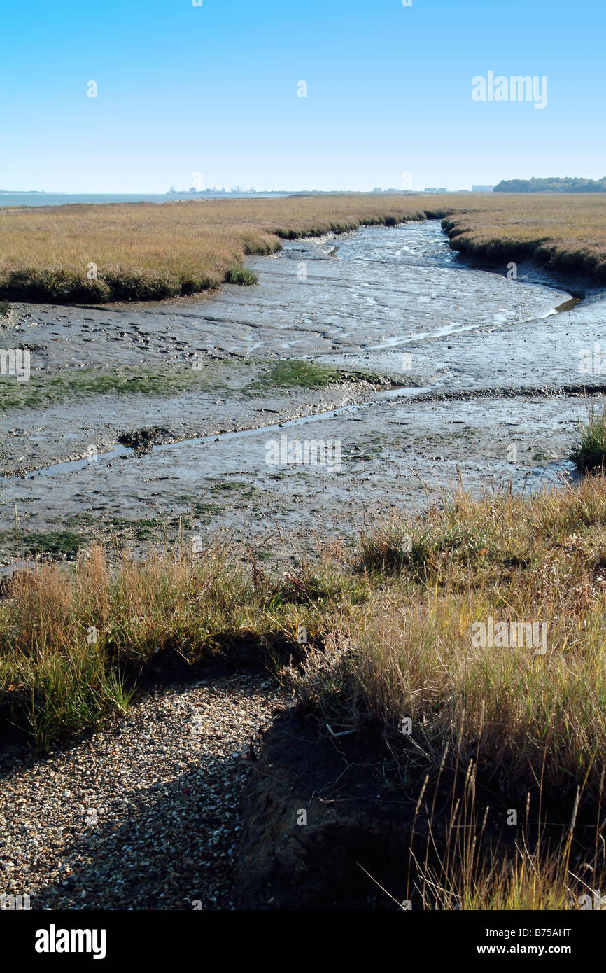 Saltmarsh protetto a monte dalla ExxonMobil Fawley raffineria di petrolio, acqua di Southampton, Hampshire, Inghilterra Foto Stock