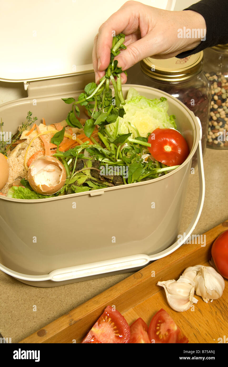Disco per affettare verdura, vari sfridi visto in cucina il compost secchio, Toronto, Ontario, Canada Foto Stock