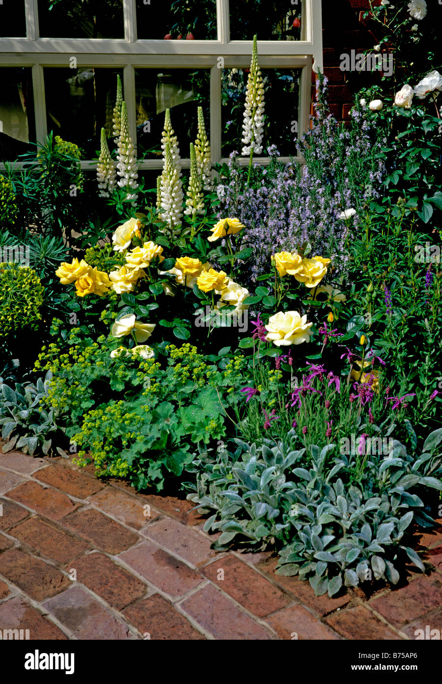 In delicato pastello fioritura di frontiera contro la pavimentazione in mattoni e parete del conservatorio Foto Stock