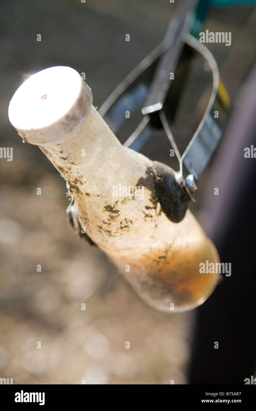 Chiudere la pulizia di immondizia, Vancouver, Canada Foto Stock