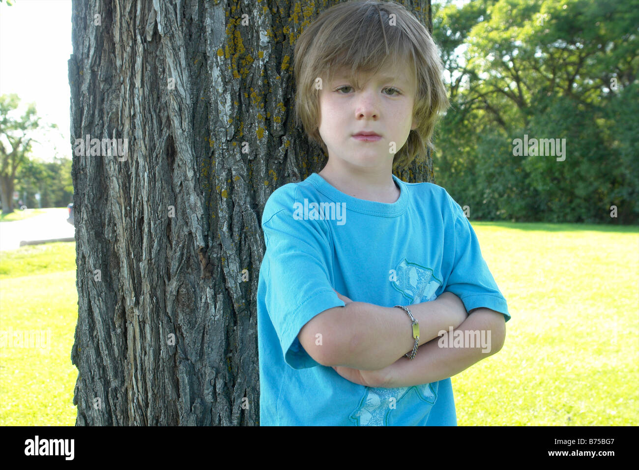 Bambino di sei anni con le braccia incrociate al fianco di albero, Winnipeg, Canada Foto Stock