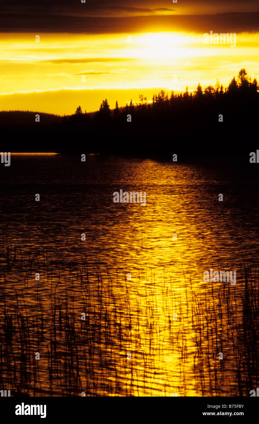 Il sole di mezzanotte su un lago vicino 'Gaellivare' Lapponia svezia Foto Stock