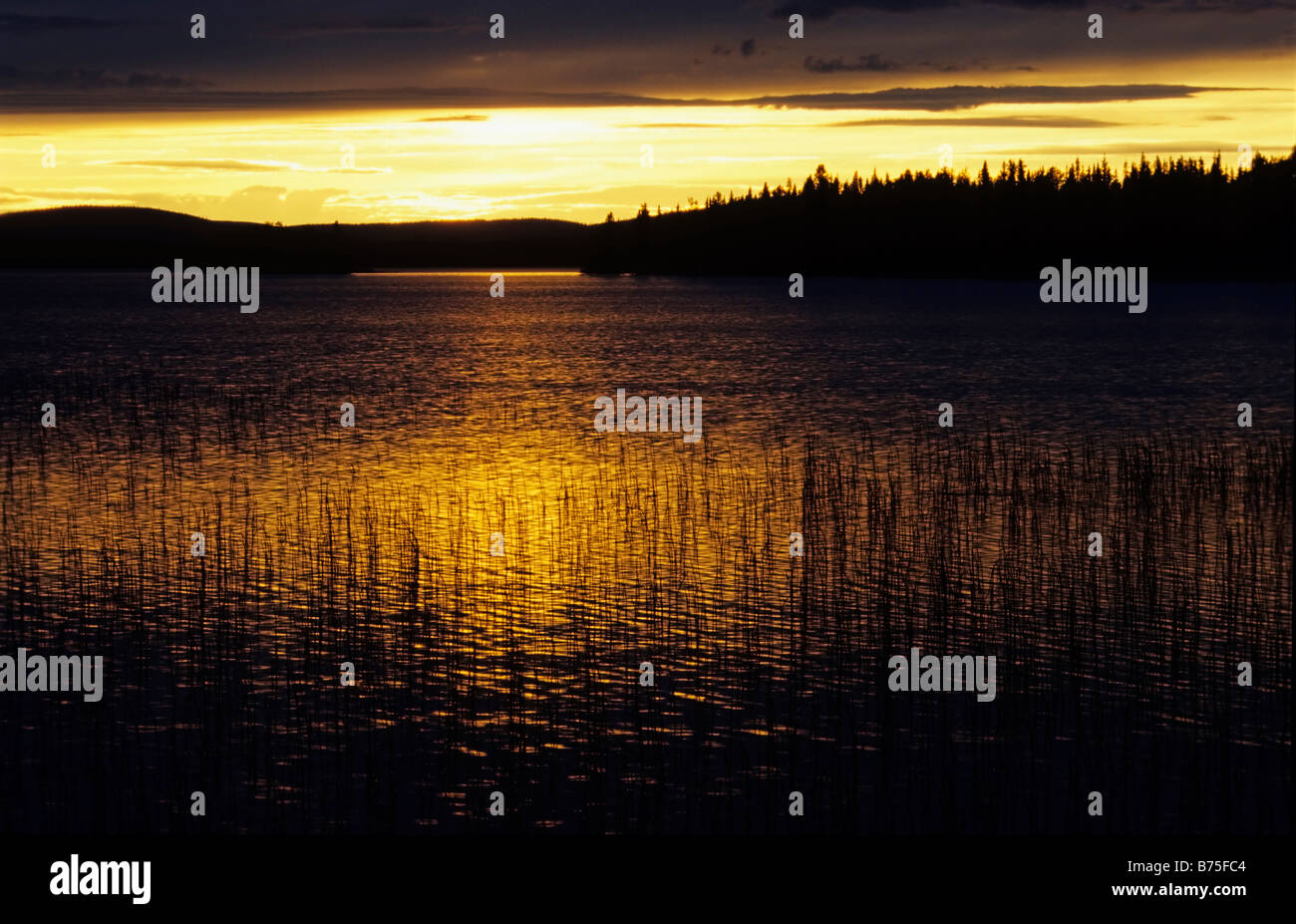 Il sole di mezzanotte su un lago vicino 'Gaellivare' Lapponia svezia Foto Stock