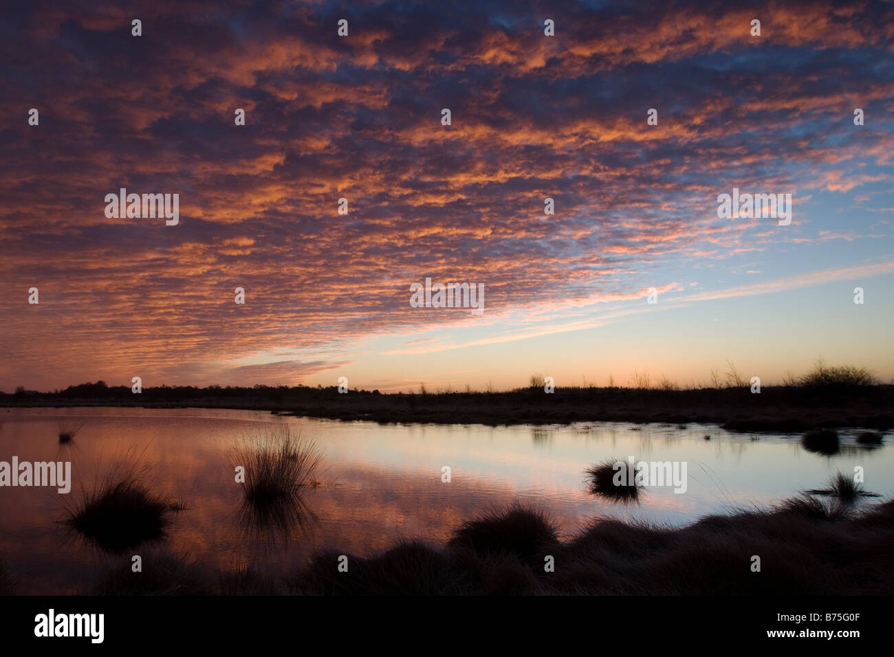 Sunrise nel 'Goldenstedter Moor' moor Germania Foto Stock