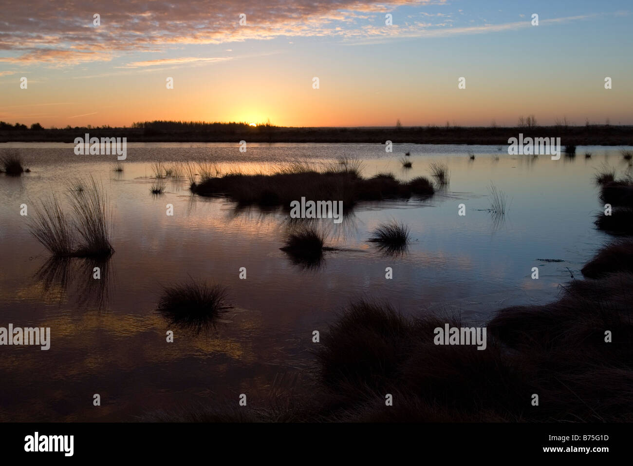 Sunrise nel 'Goldenstedter Moor' moor Germania Foto Stock