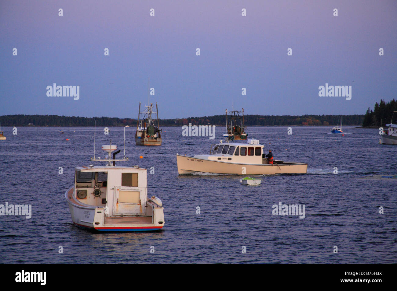 Porto all'alba, Port Clyde, Maine, Stati Uniti d'America Foto Stock