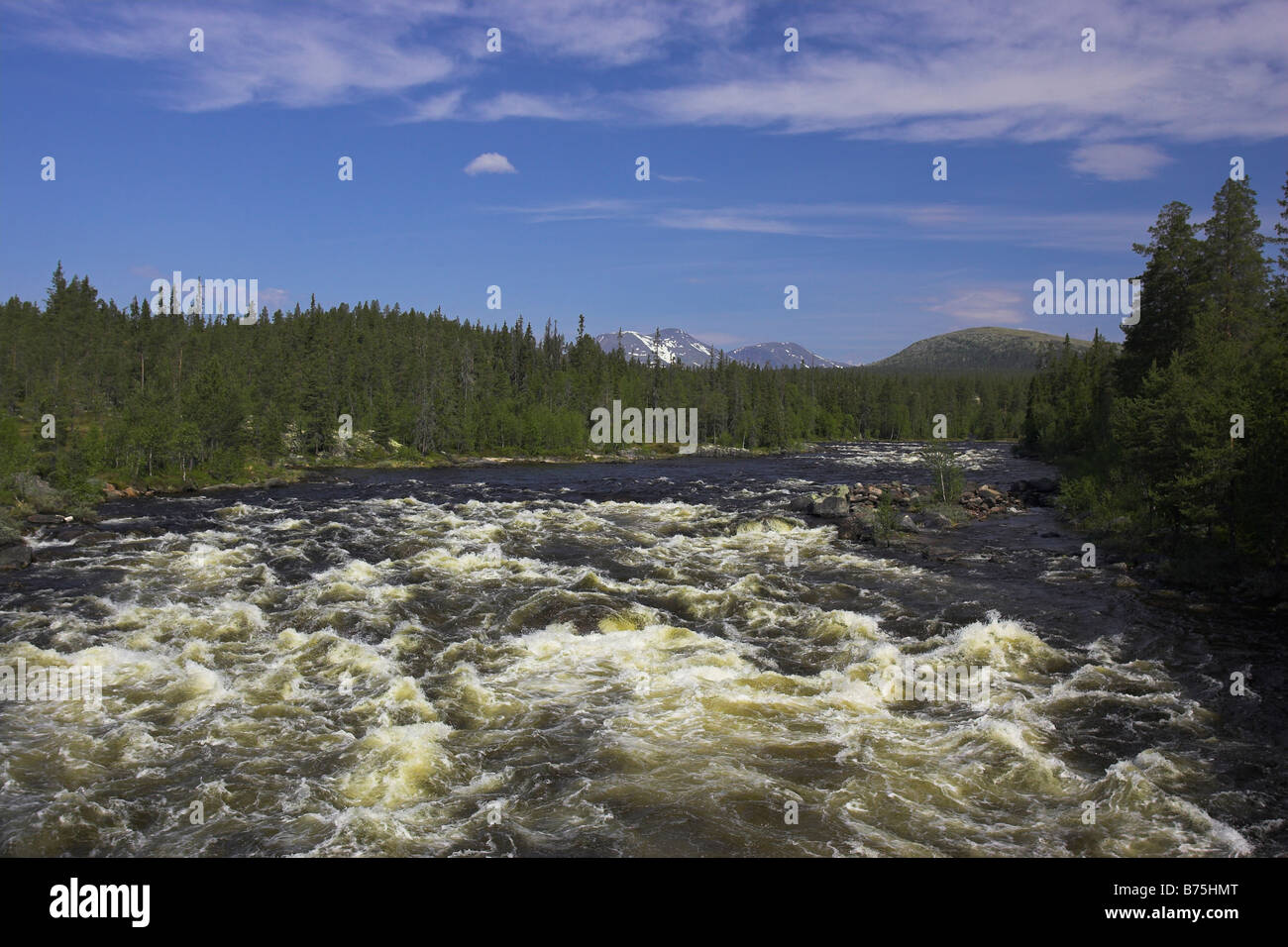Drevsjo e Engerdal con Elvdalen white water rapids stromschnellen fiume fluss norwegen Norvegia Foto Stock